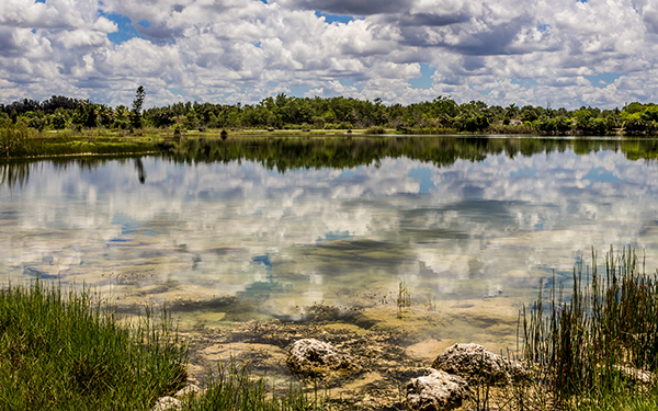 Everglades: America's Best National Parks