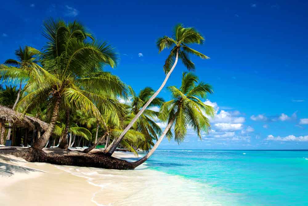 For sun seekers