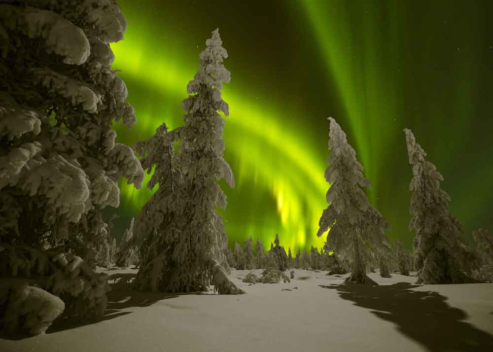 For Northern Lights 
