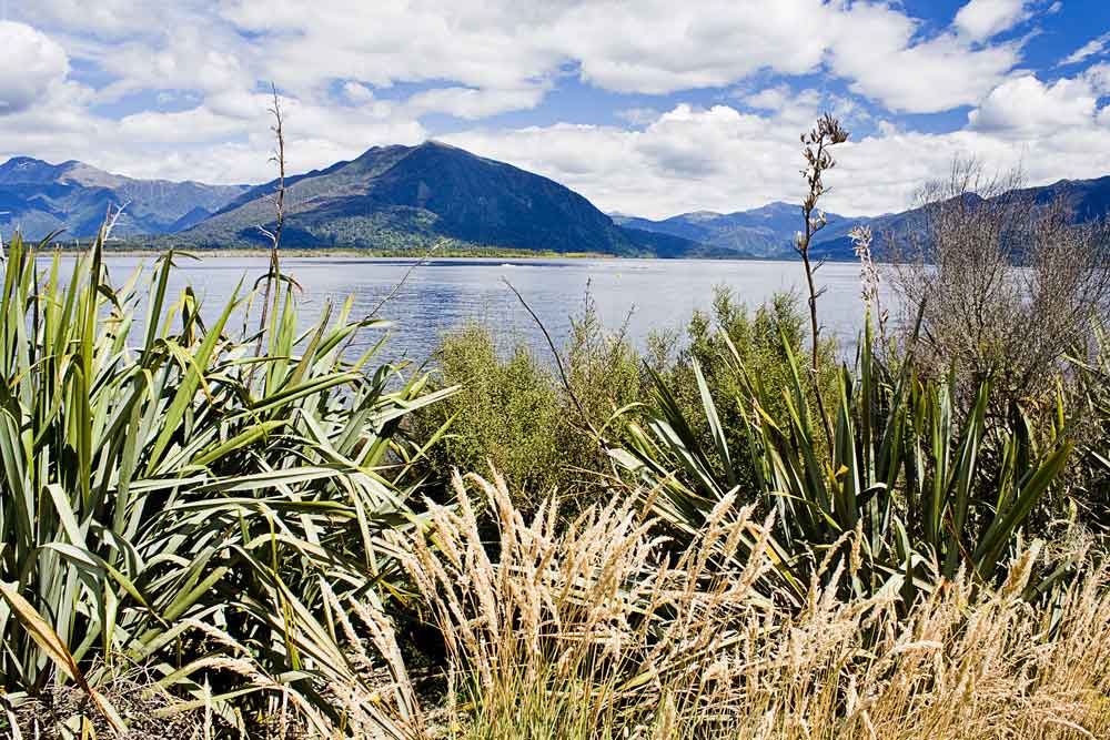 The TranzAlpine: Must-See New Zealand